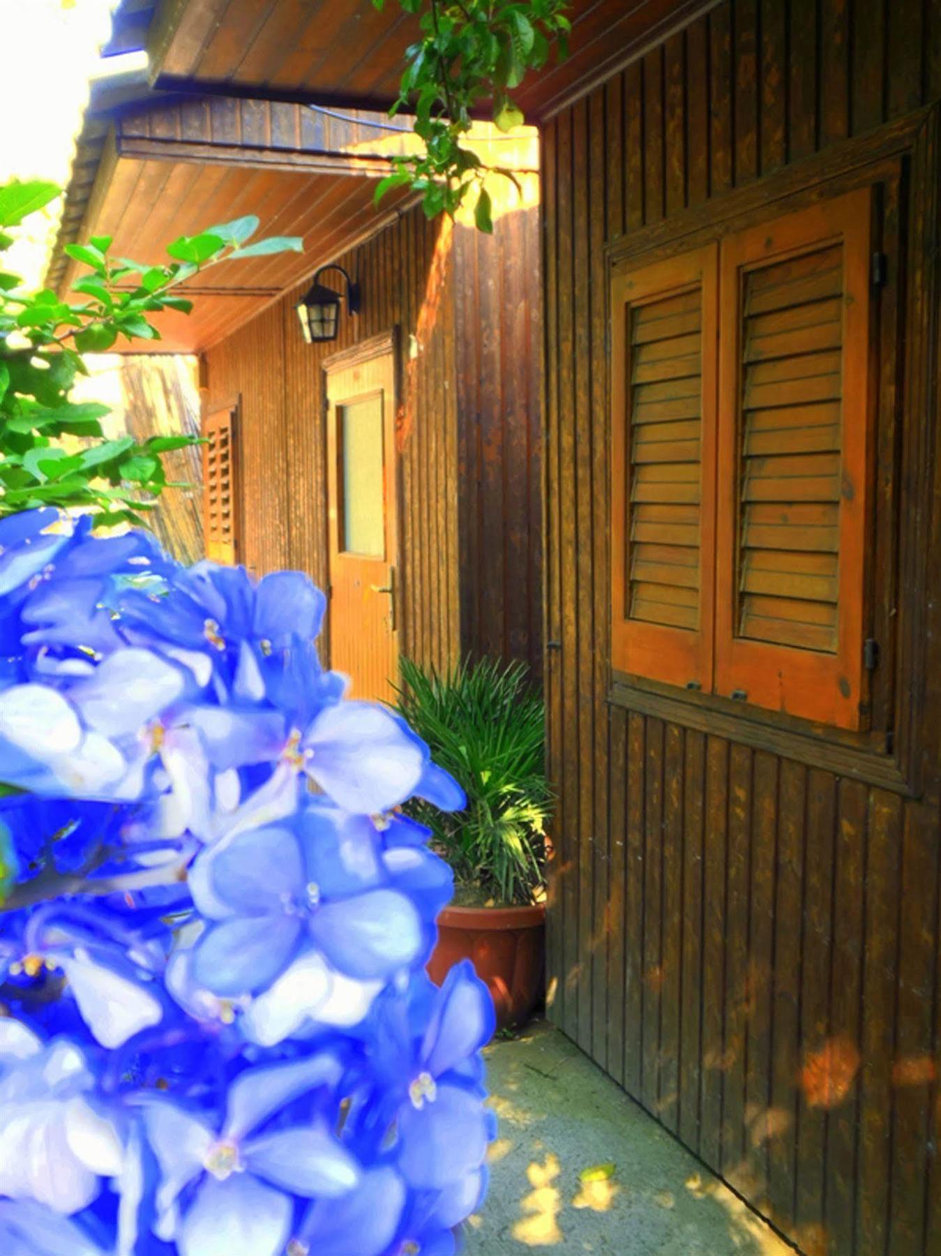 Fiori D'Arancio Hotel Piano di Sorrento Exterior photo