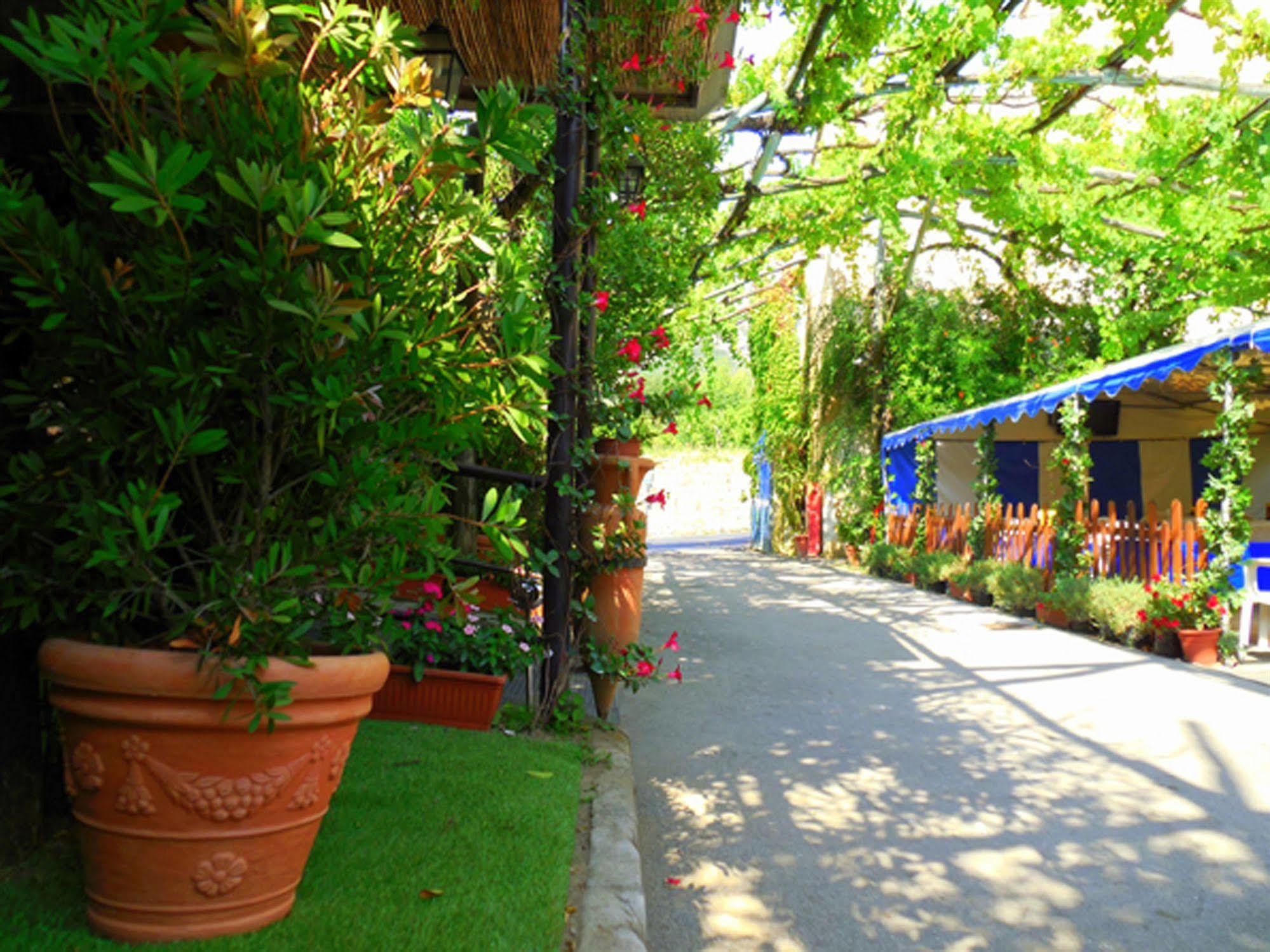 Fiori D'Arancio Hotel Piano di Sorrento Exterior photo